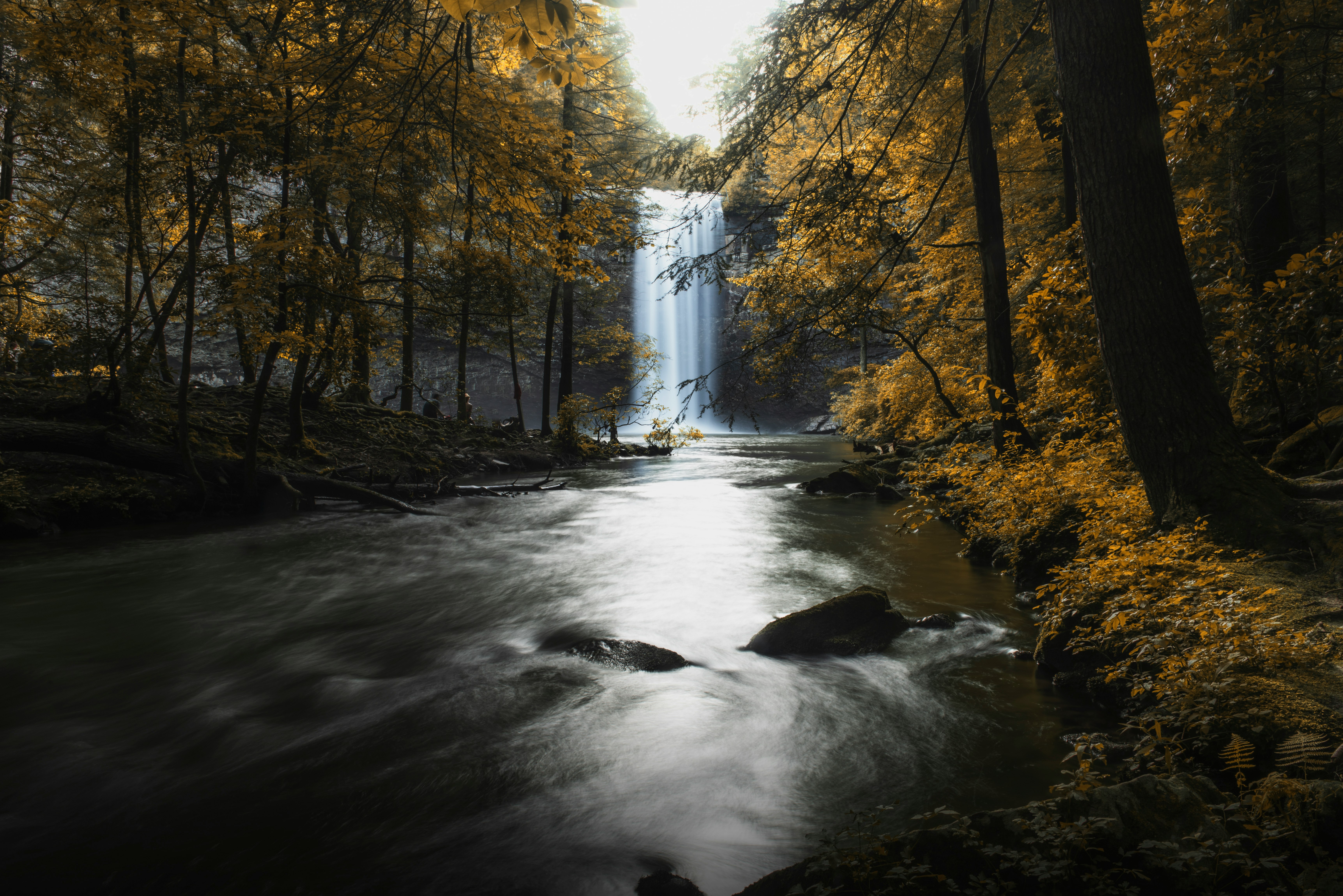 waterfall surrounded by trees